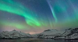 Nordlichter im nächtlichen Himmel über den Lofoten Inseln in Nordnorwegen von Sjoerd van der Wal Fotografie