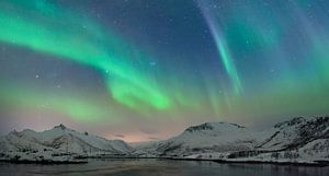 Lumières nordiques dans le ciel de nuit au-dessus des îles de Lofoten en Norvège sur Sjoerd van der Wal Photographie