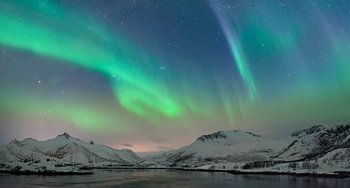Nordlichter im nächtlichen Himmel über den Lofoten Inseln in Nordnorwegen