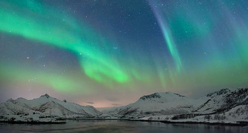 Nordlichter im nächtlichen Himmel über den Lofoten Inseln in Nordnorwegen