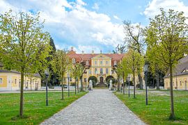 Rammenau by Johann Pavelka