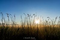 Lever du soleil