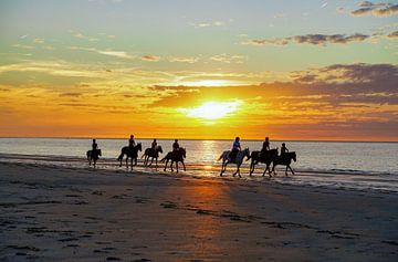 Paardrijden met zonsondergang van Verhagefotografie