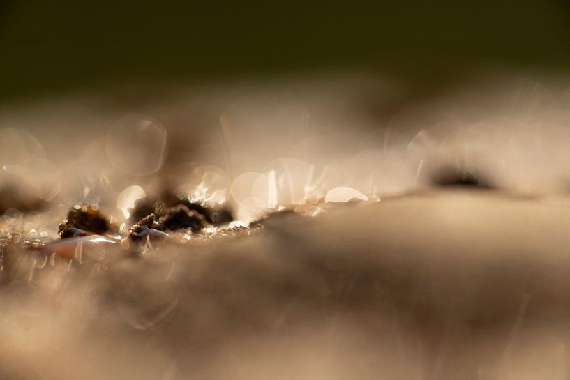 dewy par Detty Verbon