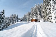 Alpenhut in de winter met veel sneeuw in liggend formaat van Leo Schindzielorz thumbnail