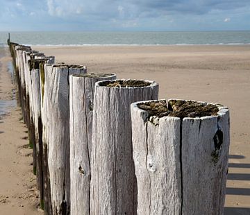 Detailopname van golfbrekers langs de Zeeuwse kust bij Zoutelande van Rini Kools