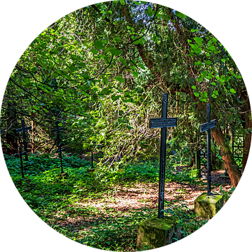 zwarte kruizen diep in het bos waar alles eindigt