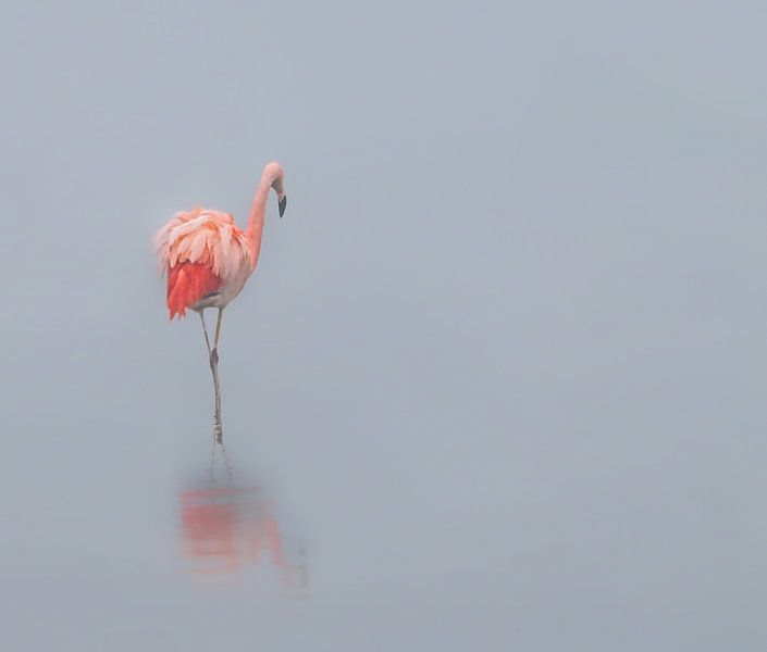 If you go away van Jolanda Stam