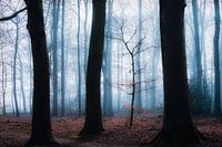 Zauberwald 3