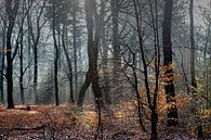 Mist in de bossen bij Auterlitz van Atelier van Saskia thumbnail
