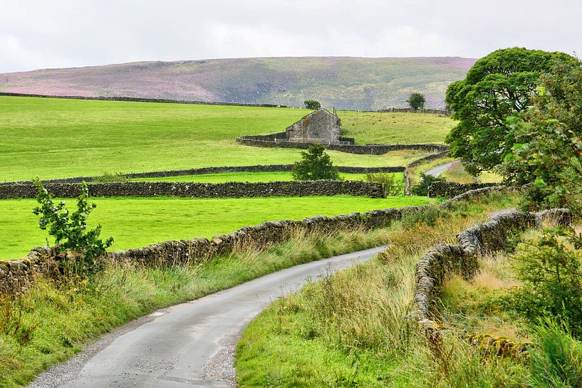 Yorkshire Dales Scenery by Gisela Scheffbuch