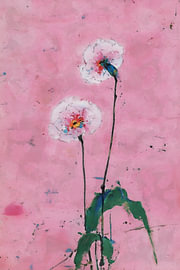 Pink Botanical Studies I – Two Blooms by Whale & Sons