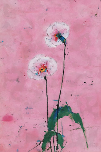 Pink Botanical Studies I – Two Blooms