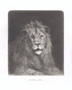 Tête de lion de Jan van Essen, 1864 - 1936