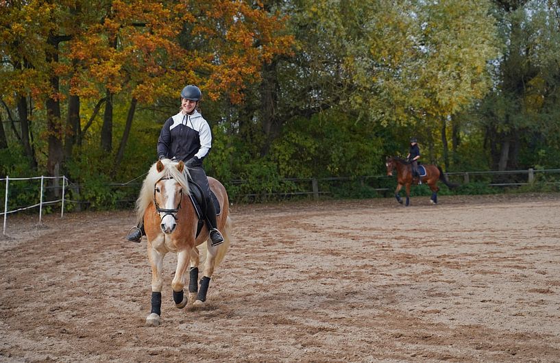 Training with the light brown Haflinger with beige mane by Babetts Bildergalerie