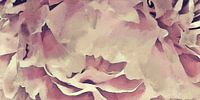 Elegante Reife von Pfingstrosenblüten - Digitale Kunst