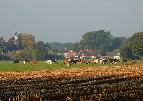 Achterhoeks landschap