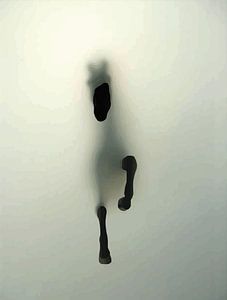 Cheval abstrait dans le brouillard