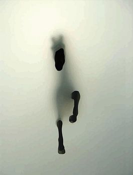 Abstract Horse Through the Fog