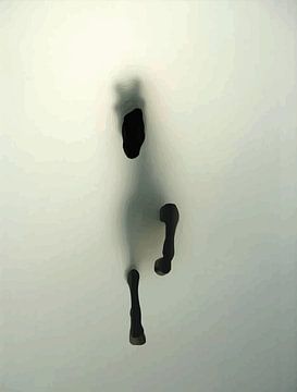 Abstract Paard door de mist van Ramy Salah Hefny