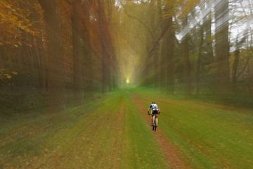 Radfahrer im Wald zur Licht von George van der Vliet