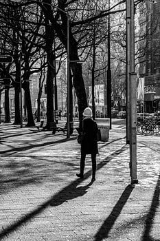 Le soleil est au rendez-vous.