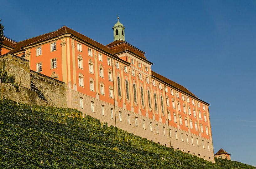 Nouveau château de Meersburg au lac de Constance avec vignobles Allemagne par Dieter Walther