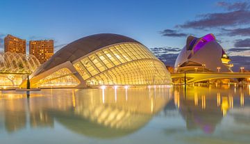 Stad van de Kunsten en Wetenschap - Valencia, Spanje van Bas Meelker
