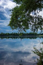 relaxing in the nature