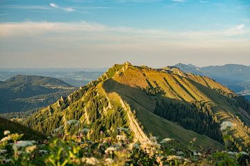 Blumige Aussicht vom Hochgrat auf das Rindalphorn von Leo Schindzielorz