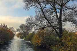 Die Aach zwischen Hausen und Singen am Hohentwiel - Landkreis Konstanz von BlattArt - Christine Horn