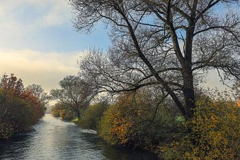 Die Aach zwischen Hausen und Singen am Hohentwiel - Landkreis Konstanz