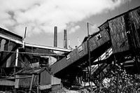 industrial weed