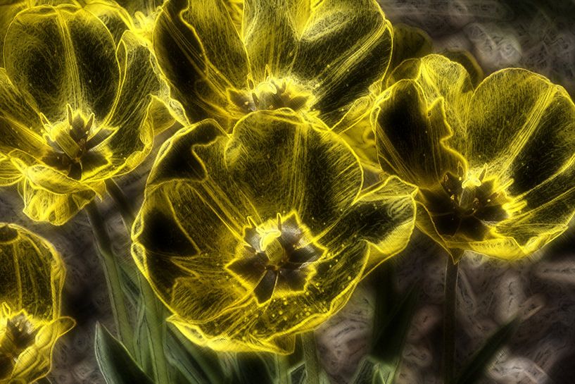 Tulpen aus Glas van Edgar Schermaul