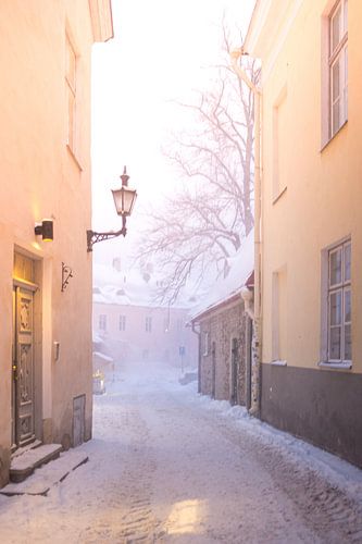Die Straßen von Tallin 1