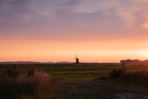 Het gouden uurtje van Willemke de Bruin