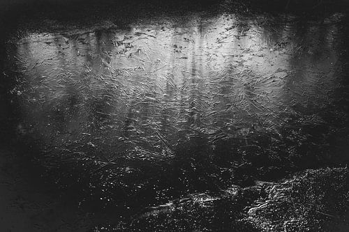 Winter Zwolle Netherlands