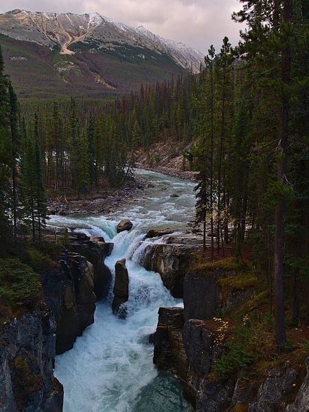 Sunwapta Falls van Timon Schneider