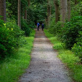 Le Velhorst sur Dave De Klerk