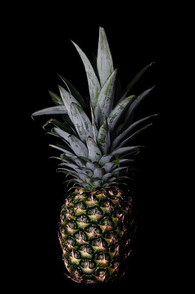 Pineapple by Richard de Bruin
