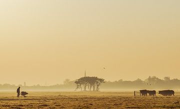 Der Bauer und seine Kühe von Dirk van Egmond