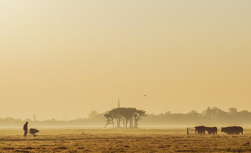 The farmer and his cows by Dirk van Egmond