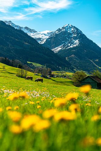 Schilderachtig uitzicht op de lente Allgäu en zijn bergen
