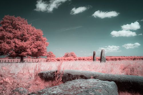 Infrared mystical landscape with menhirs d' Epoigny Burgundy France