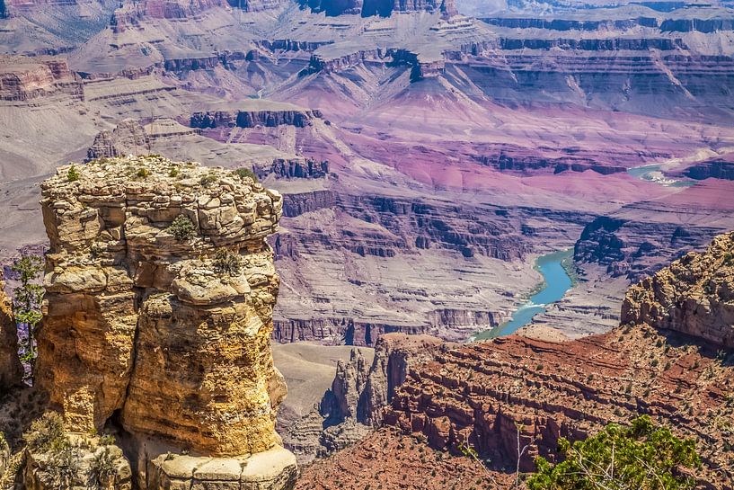 GRAND CANYON Moran Point and Colorado River by Melanie Viola