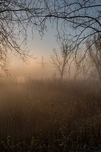 Foggy sunrise at mill