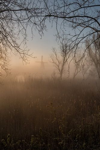 Mistige zonsopkomst bij molen