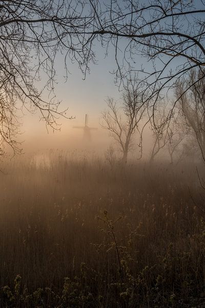 Foggy sunrise at mill by Moetwil en van Dijk - Fotografie