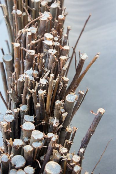 Strand stokjes van Vinanda Voncken