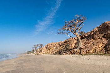 Der Strand von Gambia